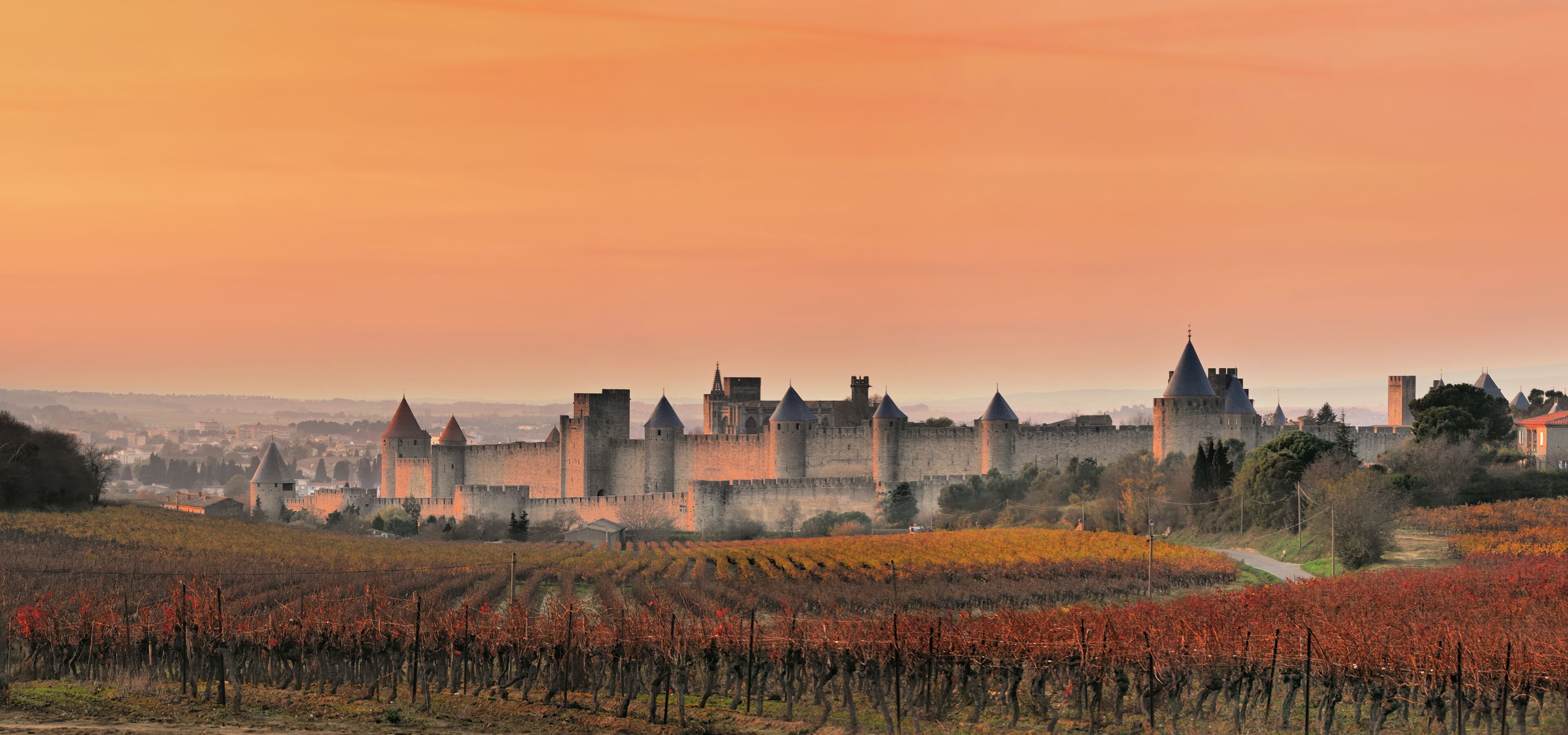 A historic castle with a fortified wall and towers, surrounded by vineyards.