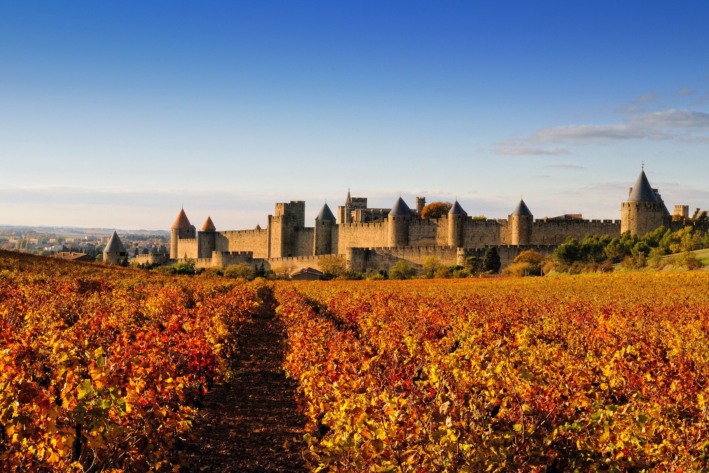 A historic castle with a fortified wall and multiple towers, surrounded by a vineyard.