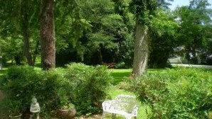 Un banco blanco en un jardín frondoso con abundante follaje y árboles.