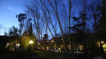 Ein Außenbereich bei Nacht mit Bäumen, einem Weg und Lichterketten.