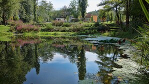 A tranquil pond with reflections of surrounding trees and buildings, surrounded by lush greenery and a variety of plants. - La Pampa Relais (Melizzano)