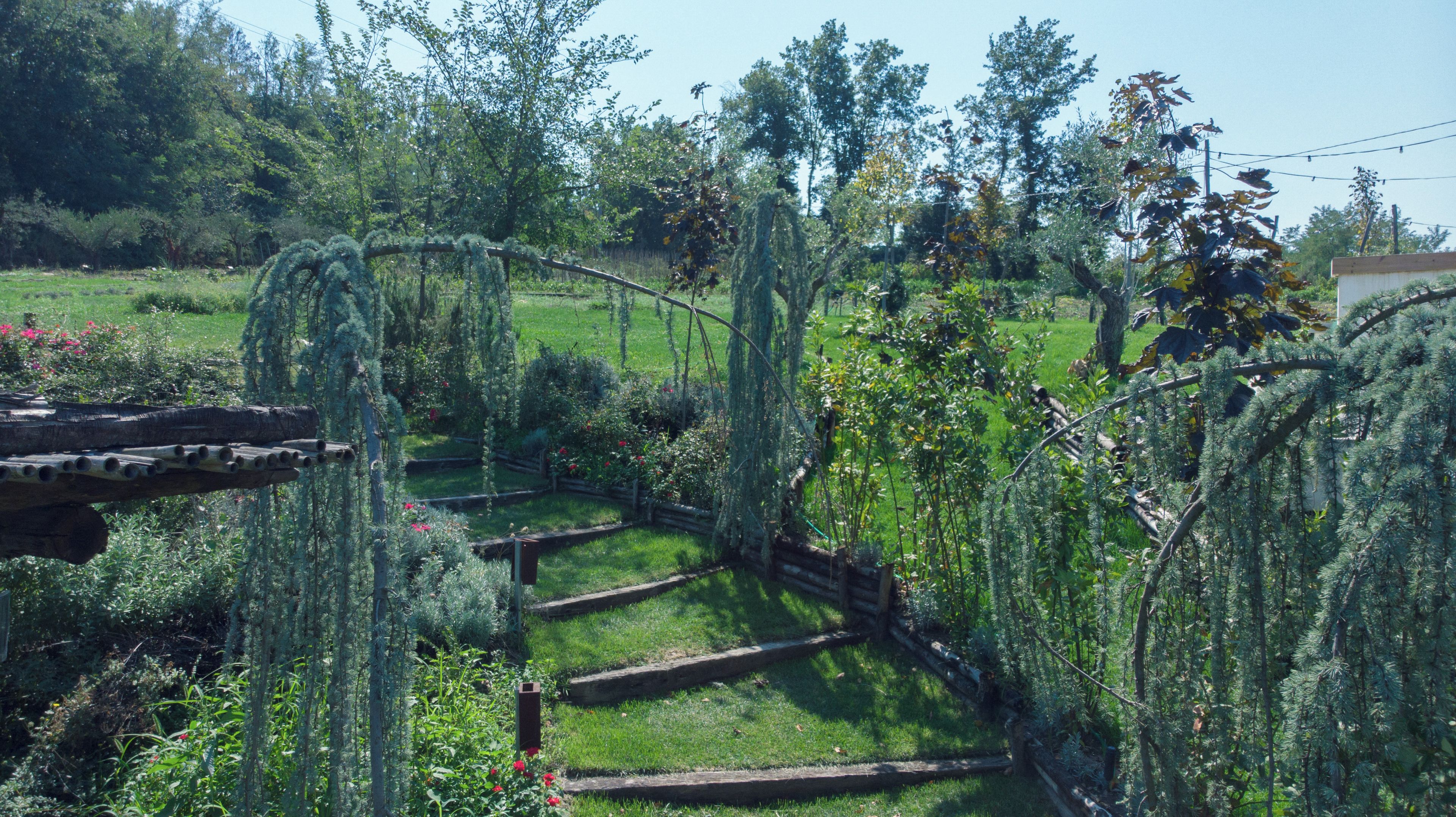 Un jardín con un sendero de madera, diversas plantas y árboles.