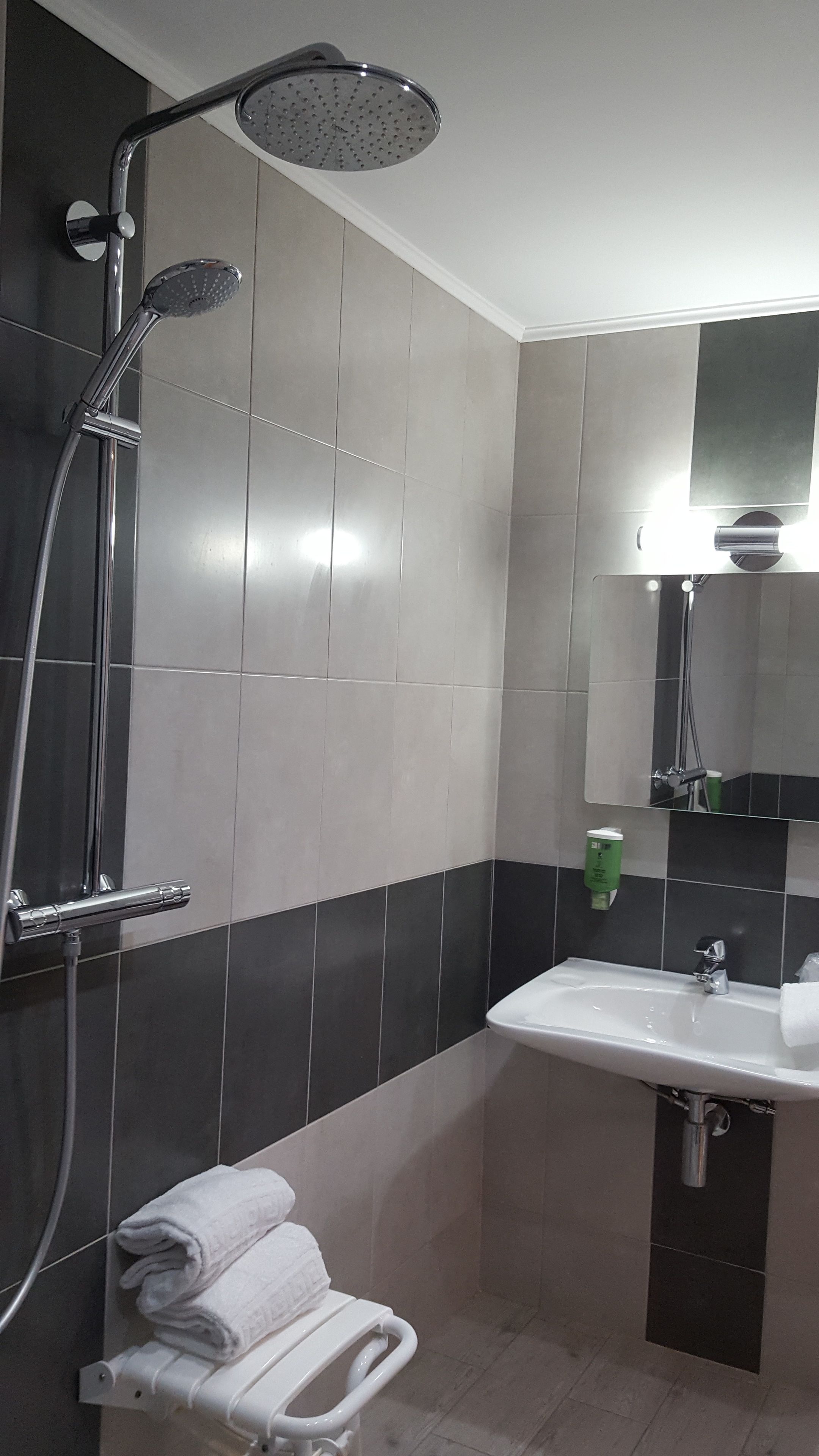 single room, accessible | bathroom | shower, hydromassage showerhead, free toiletries, hair dryer