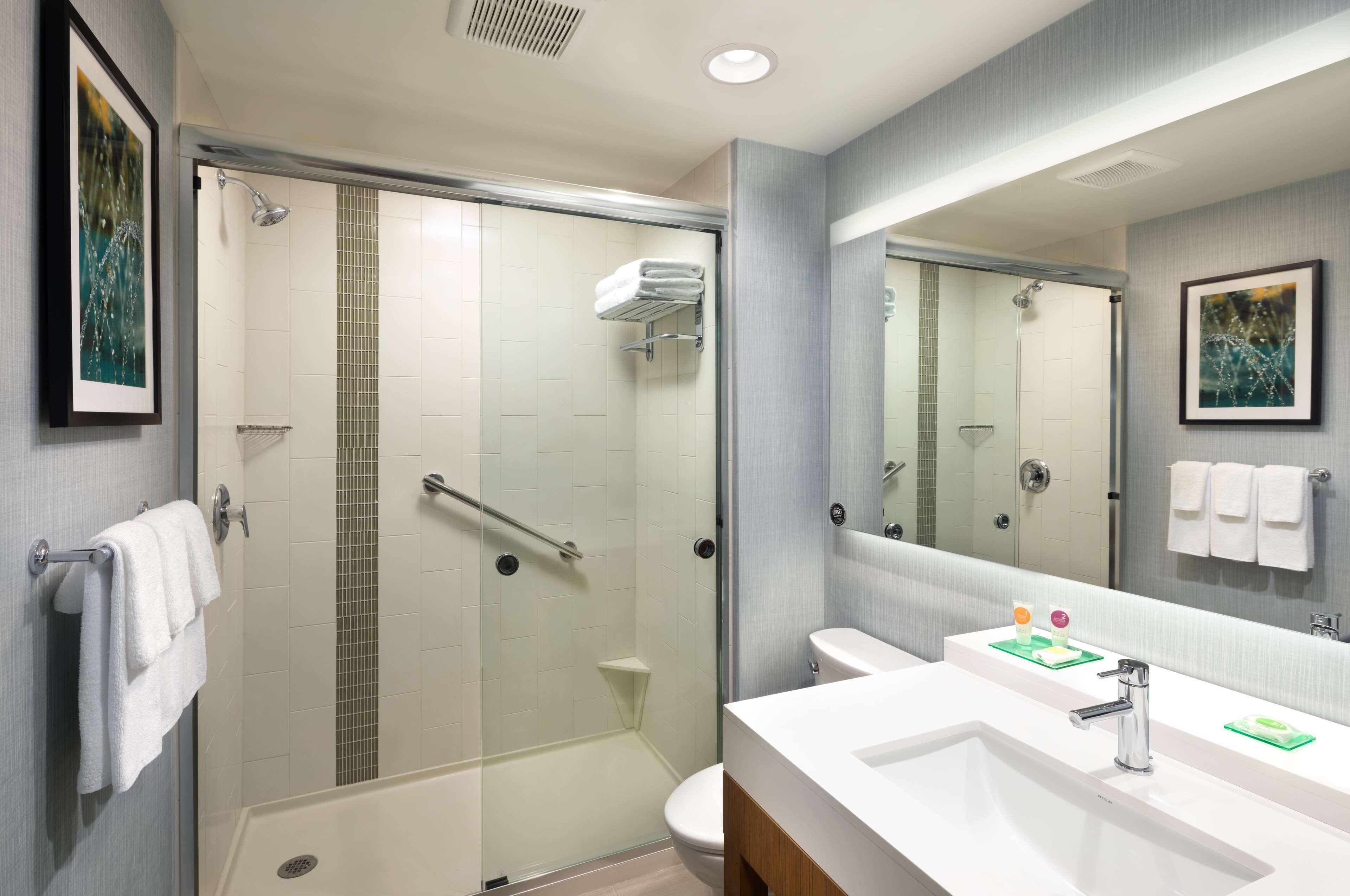 shower, free toiletries, hair dryer, towels