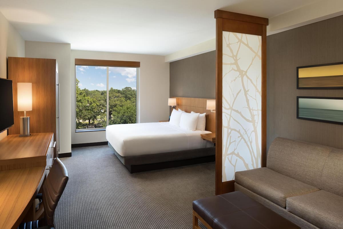 Quarto de hotel com uma cama, escrivaninha, cadeira, sofá e televisão.