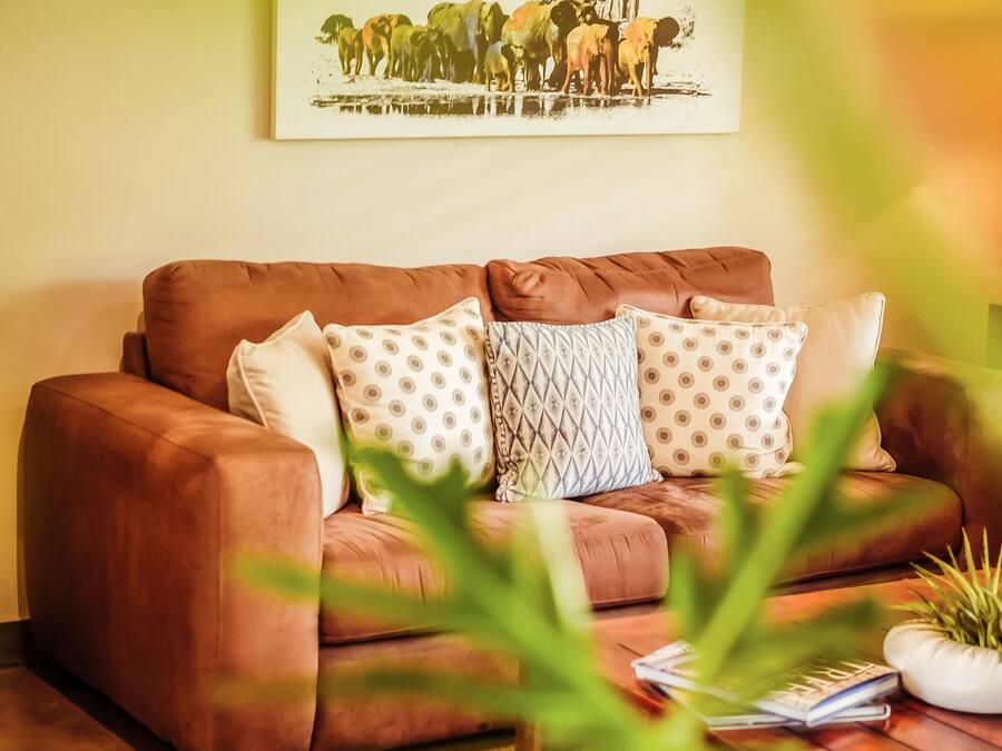 Un canapé en cuir marron agrémenté de coussins à motifs, un tableau encadré représentant des animaux sauvages accroché au mur, et une table basse en bois sur laquelle sont posés une plante et des magazines.