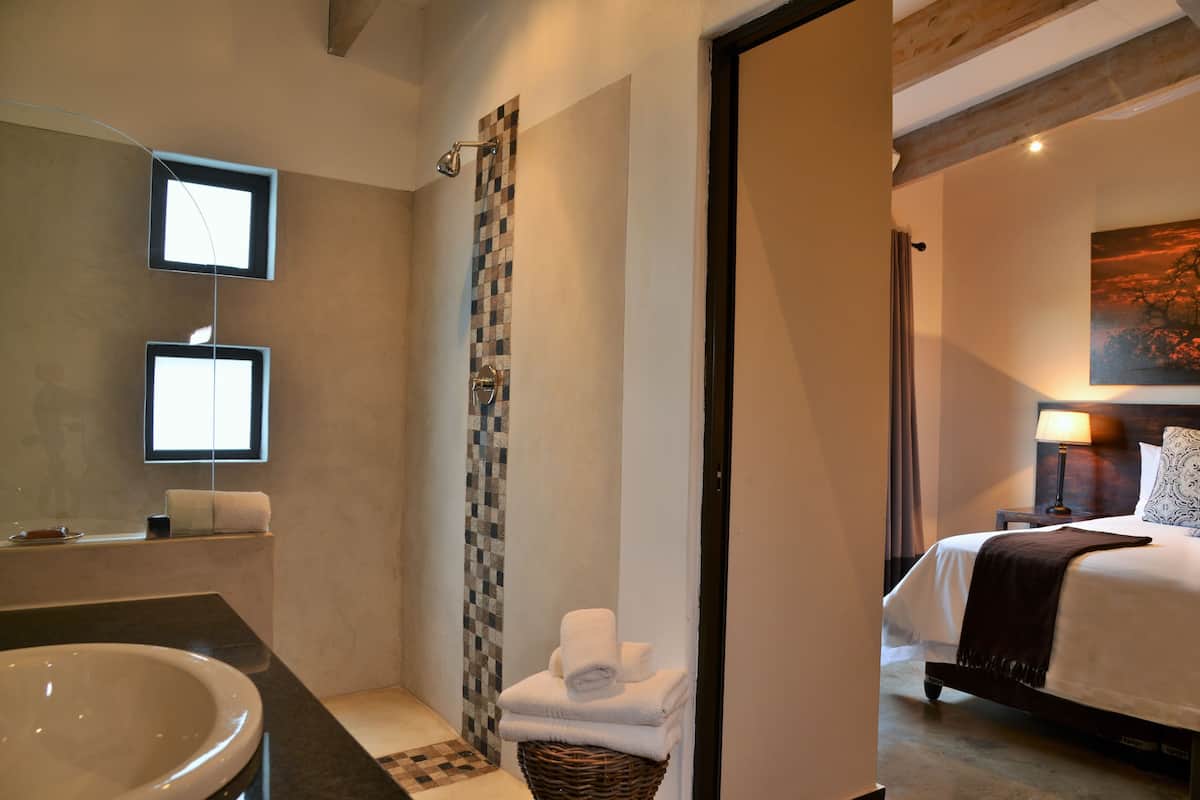 standard double room | bathroom shower