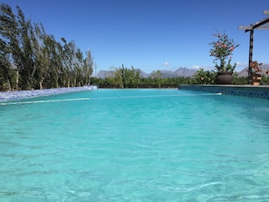 A clear blue pool with a tiled edge, surrounded by lush greenery and a view of mountains in the background. - Sunrise and Sunset Apartments at Domaine Coutelier (Stellenbosch)