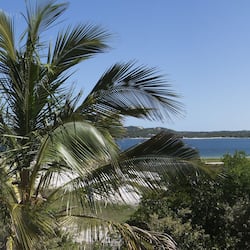 Vista desde la habitación