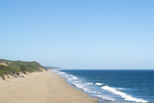 On the beach, beach bar