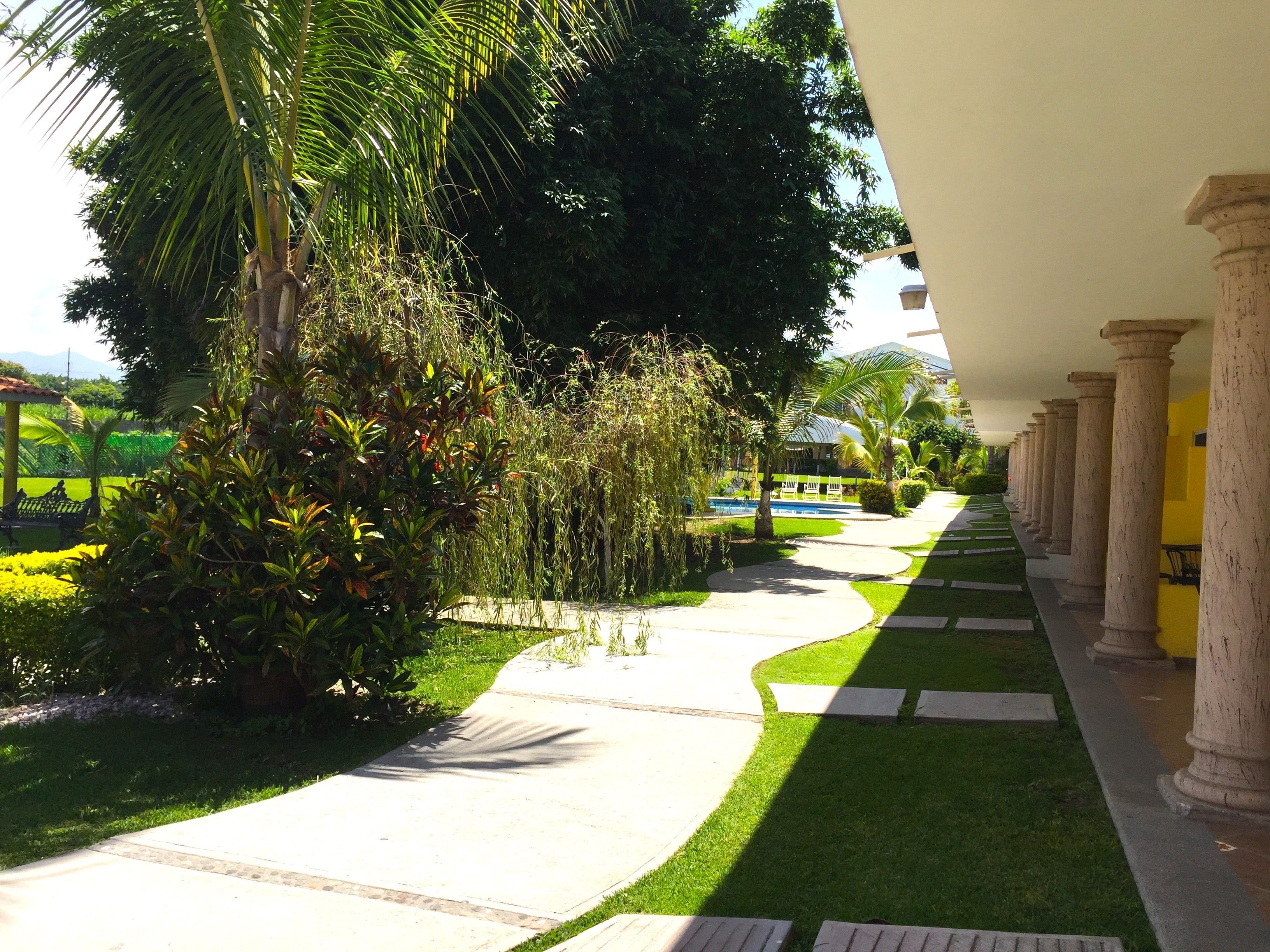 A pathway lined with palm trees and greenery, leading to a building with columns.