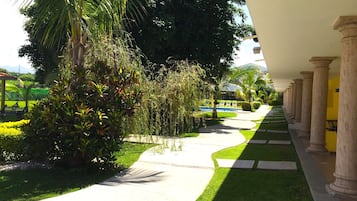 Un chemin bordé de palmiers et de verdure, menant à un bâtiment doté de colonnes.