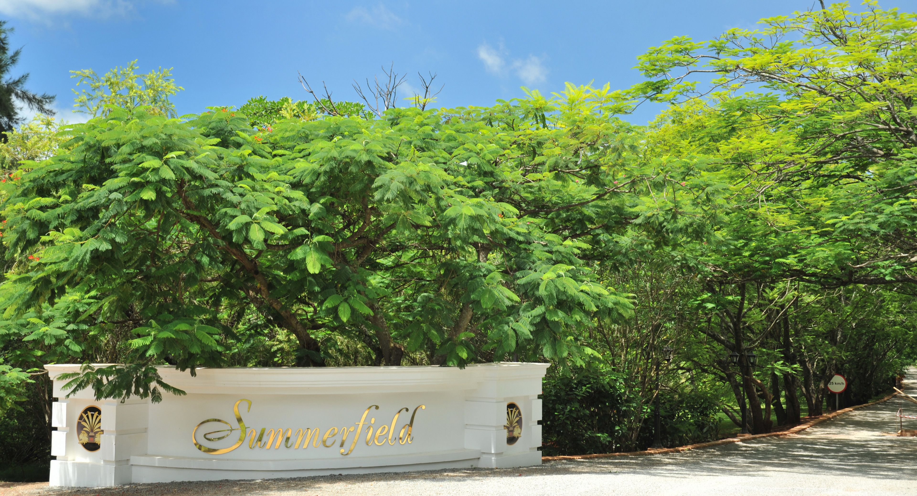 Un mostrador de recepción blanco con la palabra 'Summerfield' en letras doradas, rodeado de frondosos árboles verdes.