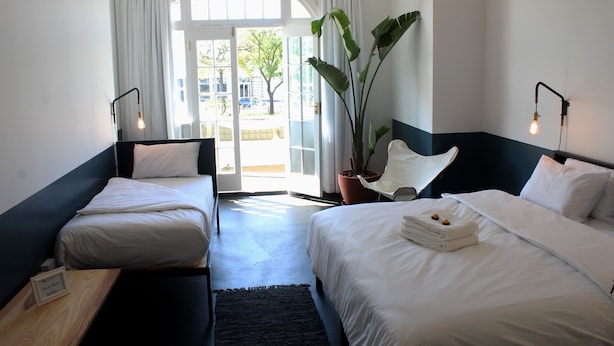 A hotel room with two beds, a potted plant, and a view of the outdoors.