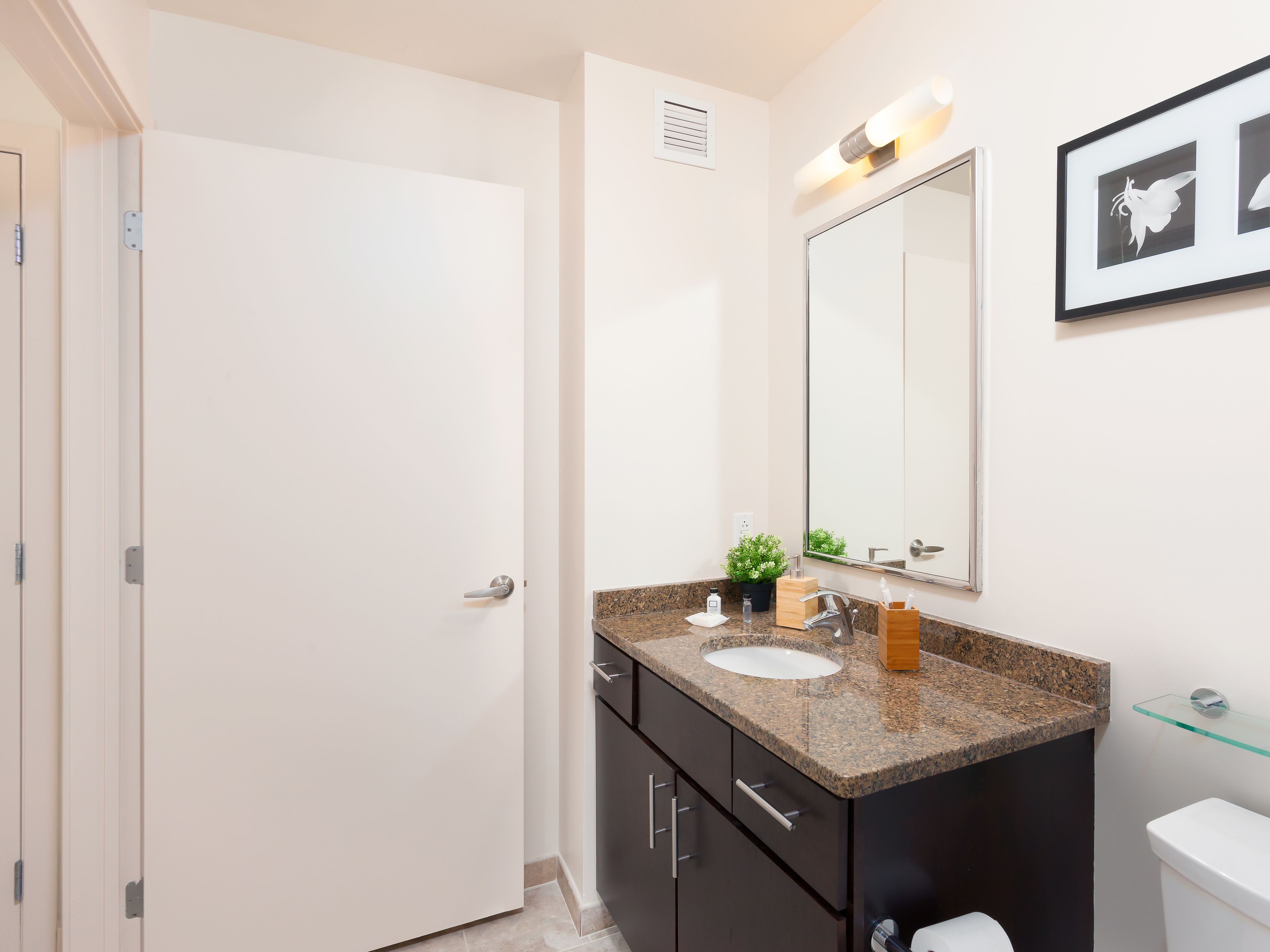 A modern bathroom with a white door, a granite countertop, a mirror, a sink, a toilet, and a small potted plant.