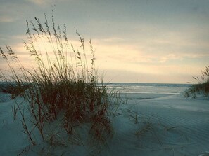 Tæt på stranden
