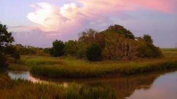 A natural landscape with a body of water, grassy areas, and trees.