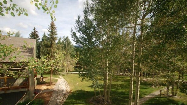 A residential property with a paved driveway, a lawn, and a variety of trees. - Flying Dutchman 1 Bedroom Apartment by Key to the Rockies (Keystone)