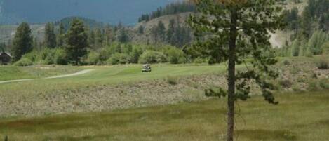 A rural landscape with a dirt road, a vehicle, and a small cabin in the distance.
