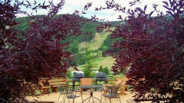 A wooden deck with a table and chairs, surrounded by trees with purple leaves, overlooking a green landscape.