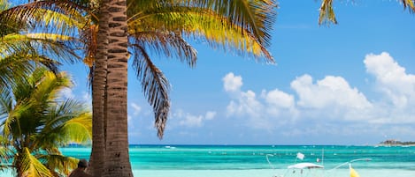 Una spiaggia nelle vicinanze