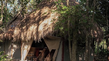 Standard Bungalow, 1 King Bed, Terrace, Ground Floor | Down comforters, WiFi (free), bed sheets