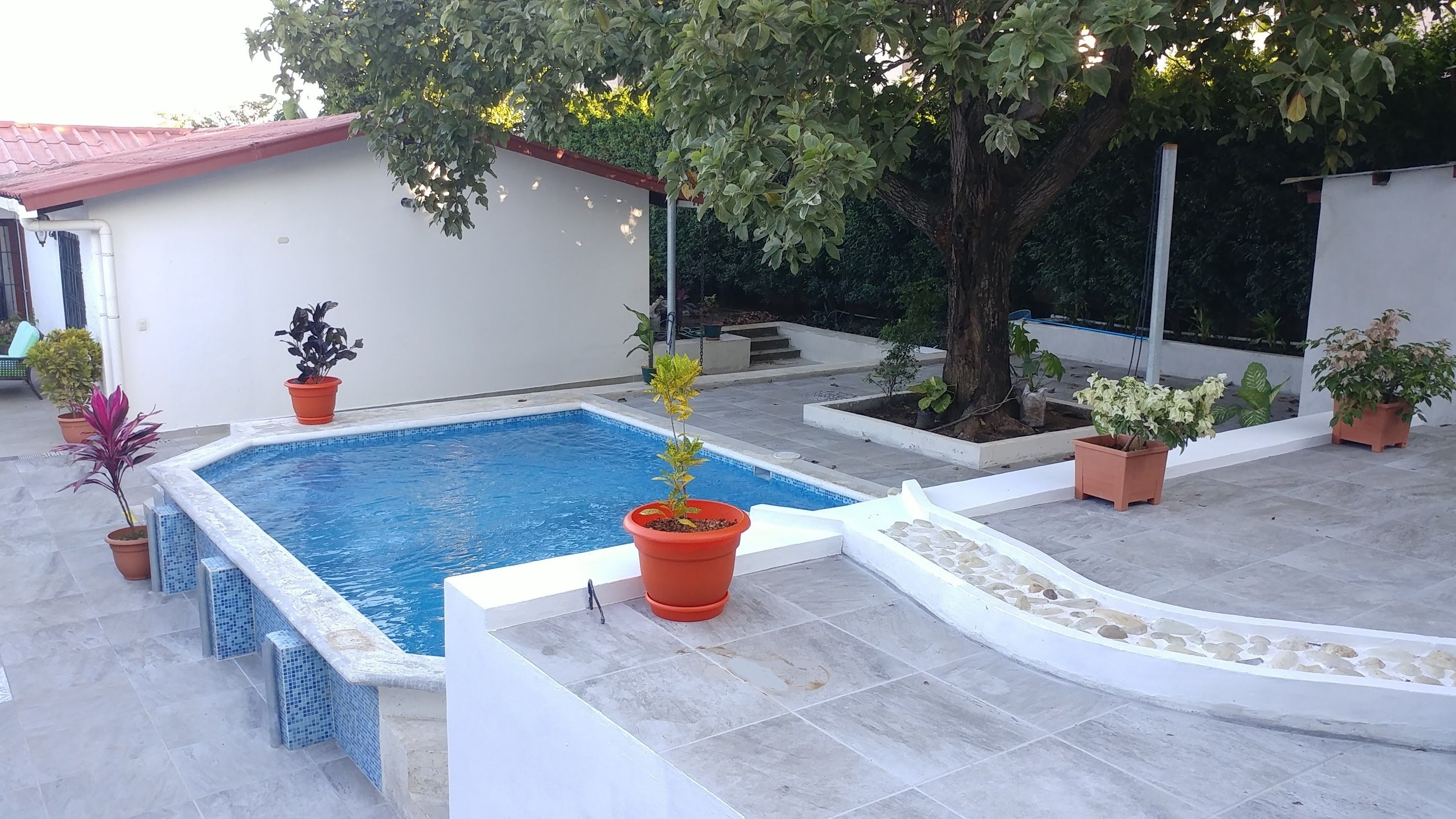 outdoor pool, open 7 am to 10 pm, pool loungers