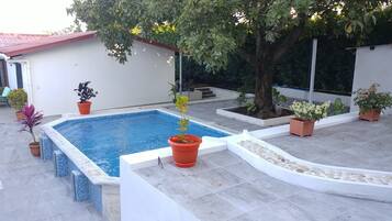 A swimming pool surrounded by potted plants and a tree, with a tiled patio area.