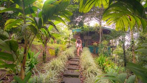 A pathway through a lush garden with a wooden structure in the background. - Avita Lodge Hotel de Montaña (Quesada)