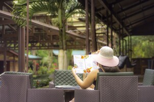 Bar (en la propiedad)