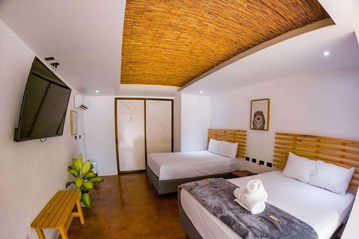 A hotel room with two beds, a wooden ceiling, a television, and a plant.