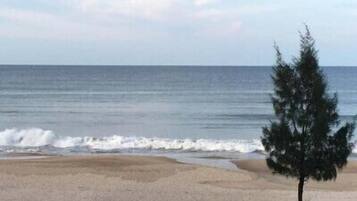 Plage, sable blanc, cabines (en supplément), chaises longues