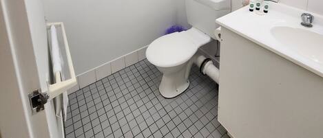 A small, clean bathroom with a toilet, sink, and a hairdryer on the wall.