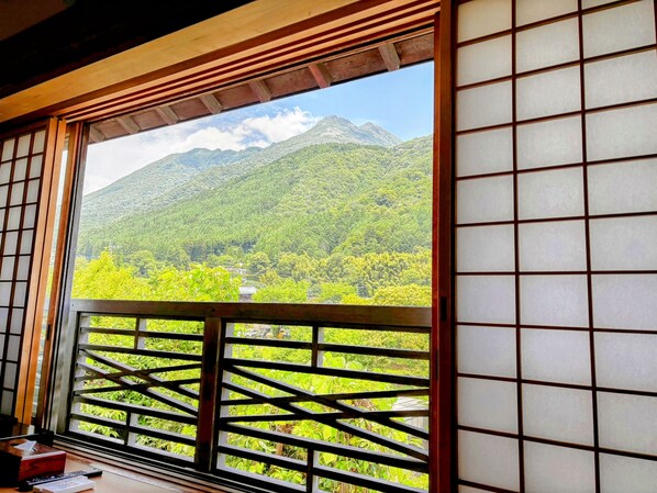 Family Room | View from room