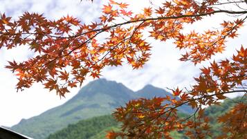 Une vue sur les feuilles d'automne devant une montagne.