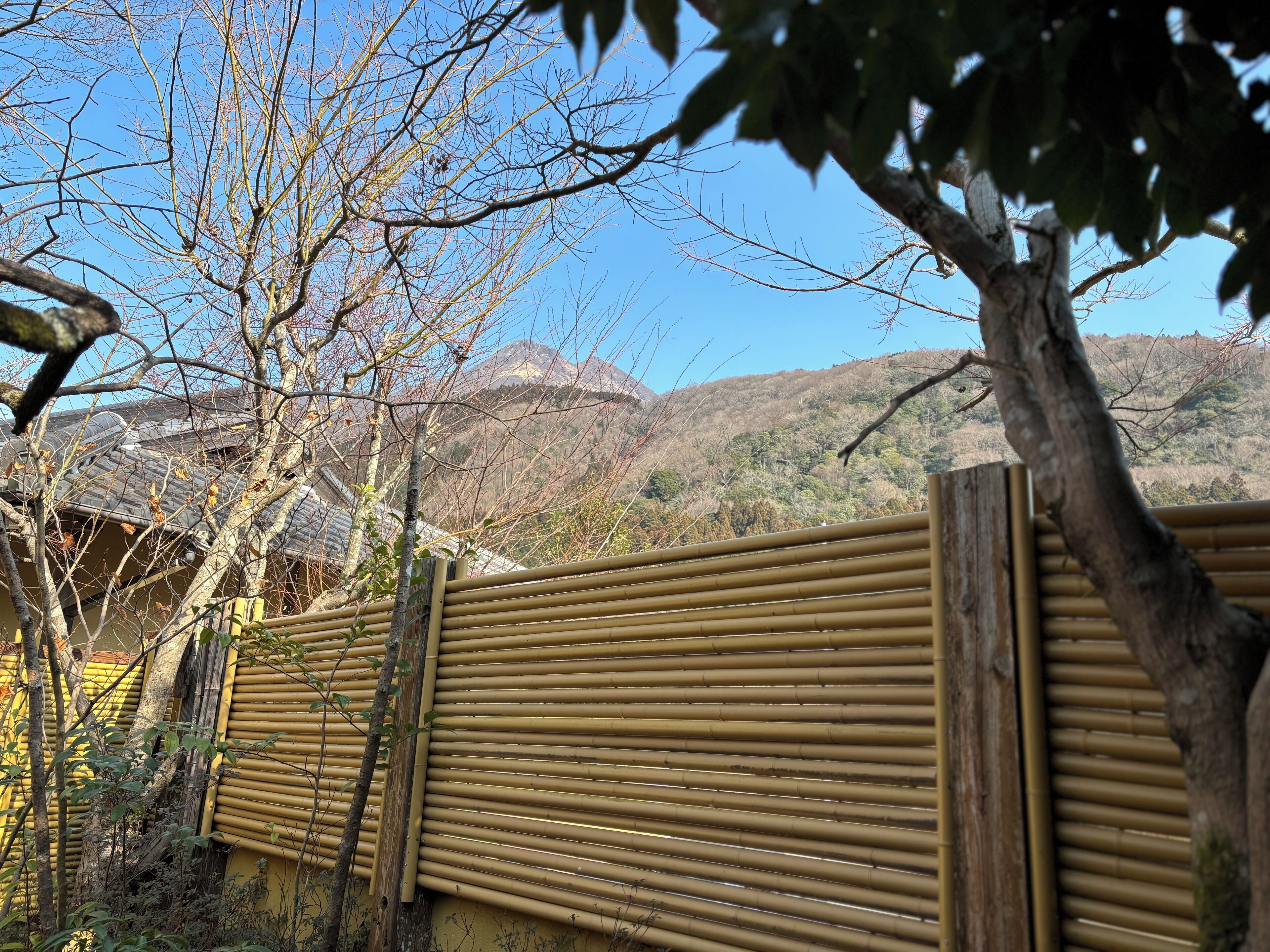 Phòng truyền thống, 2 giường đơn, quang cảnh núi | Quang cảnh từ phòng