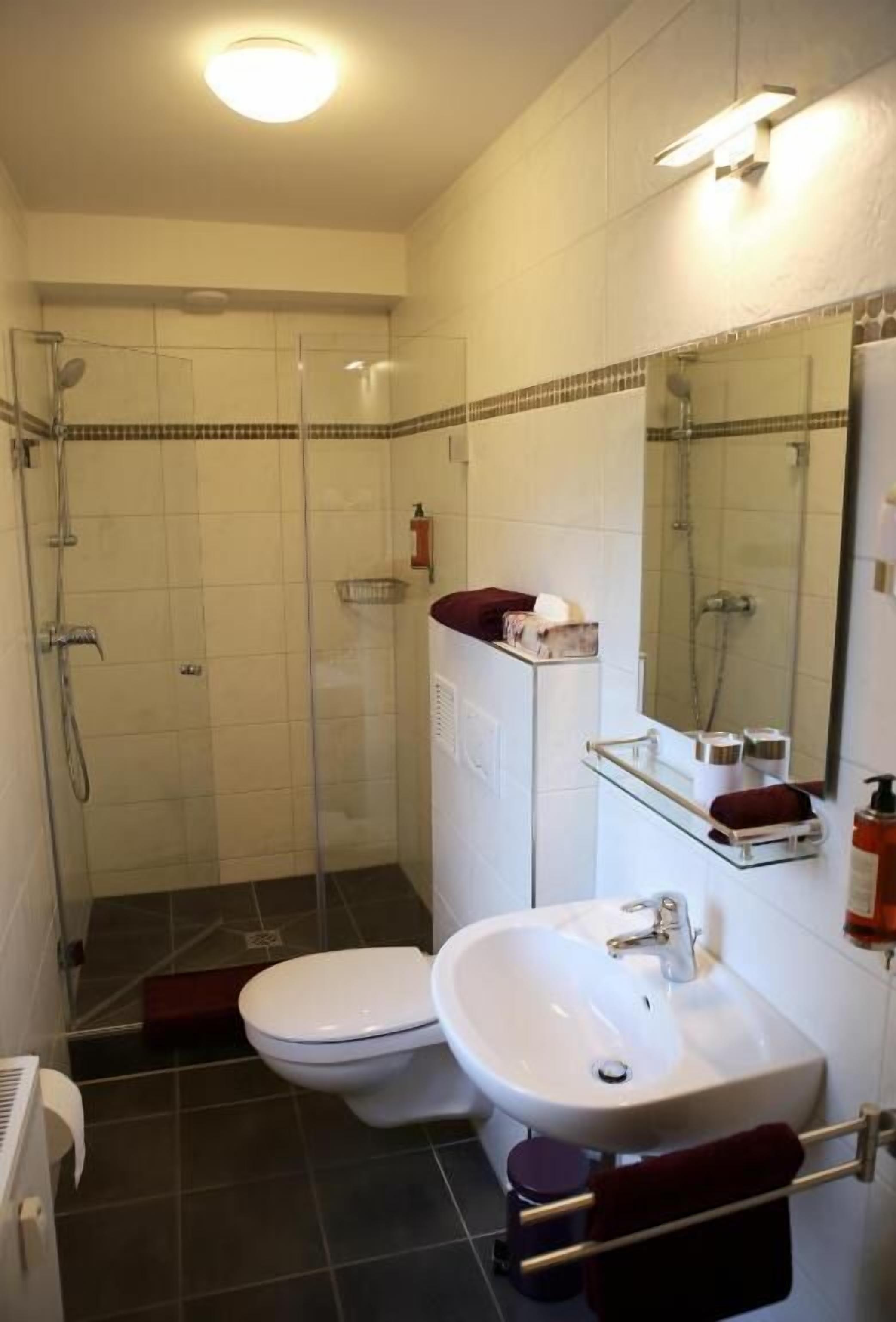 shower, free toiletries, hair dryer, towels