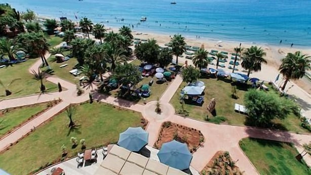 An aerial view of a beach resort with rows of palm trees, beach umbrellas, and a clear view of the ocean. - Venessa Beach Hotel (Alanya)