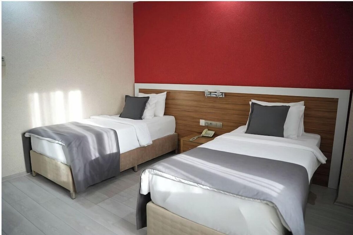 Two single beds with wooden headboards, a red accent wall, and a bedside telephone.