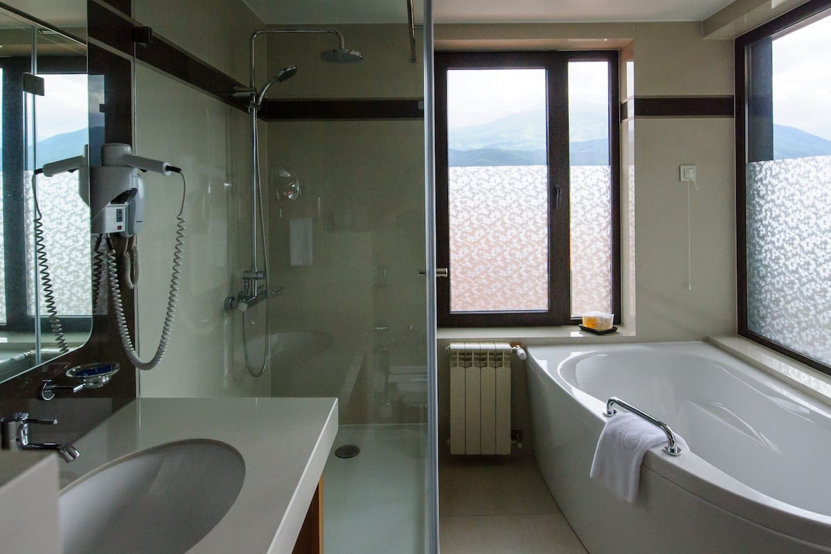 free toiletries, hair dryer, bathrobes, bidet