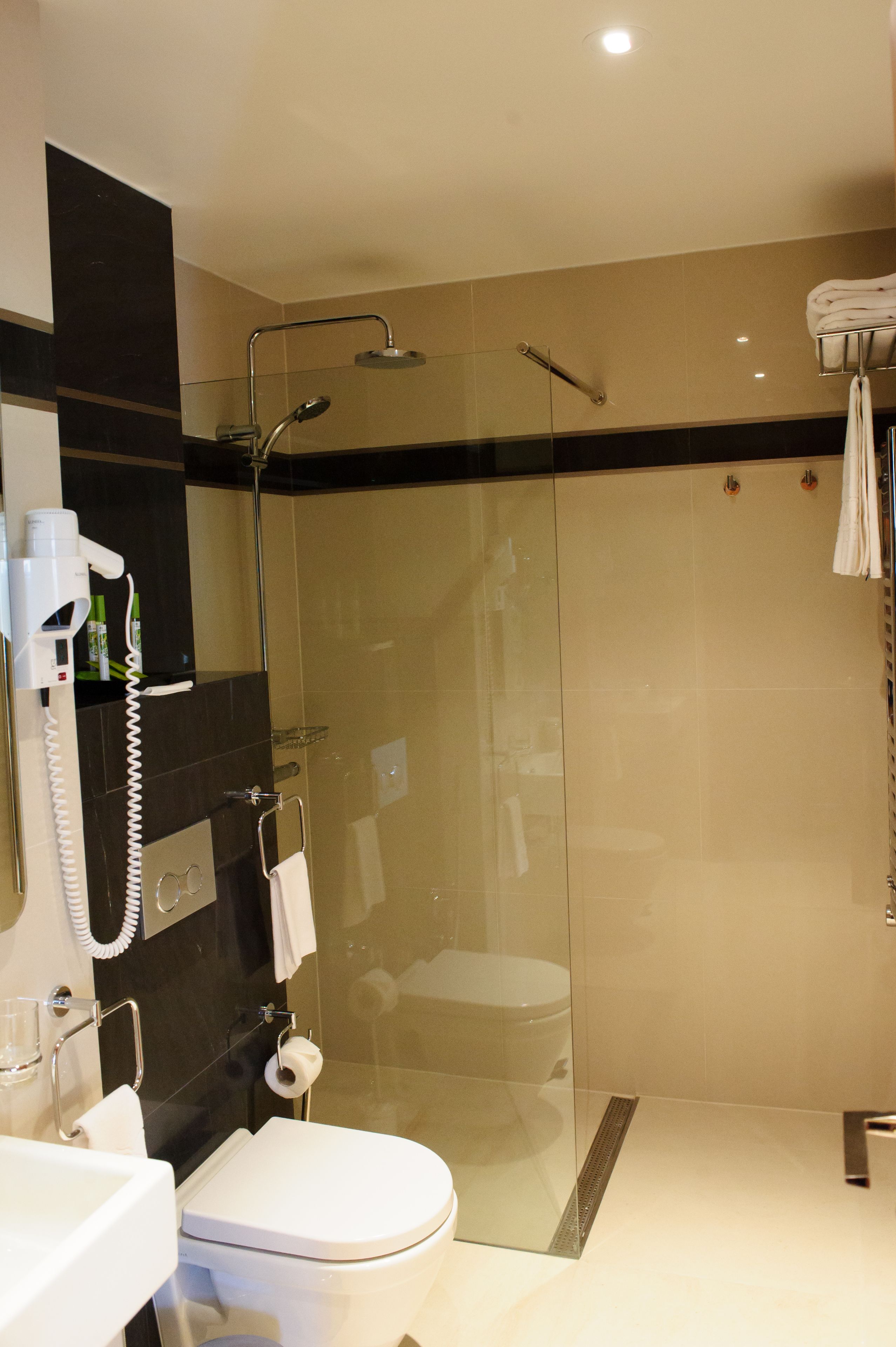 A modern bathroom with a glass-enclosed shower, a toilet, and a sink.