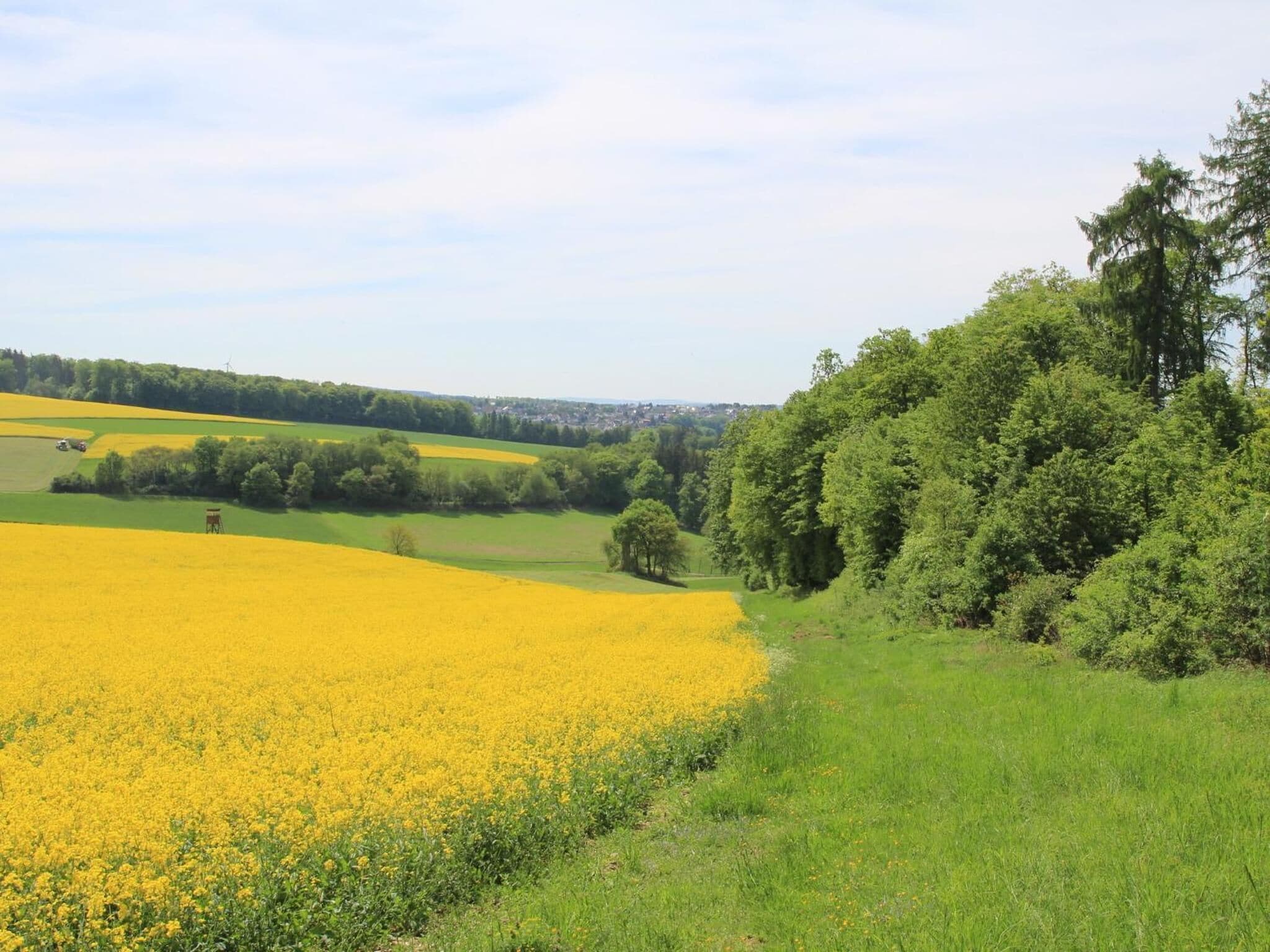 A rural landscape with fields of yellow flowers and green trees.