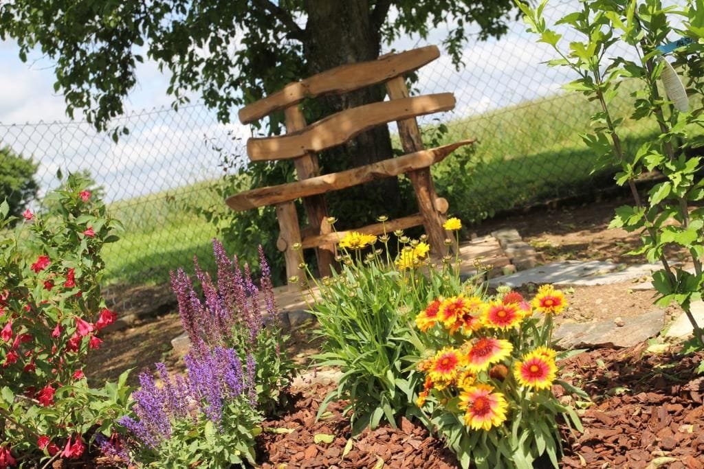 A garden with a wooden bench, various flowering plants, and a fence.