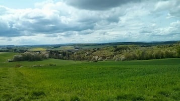 A wide-open field with a distant tree line under a cloudy sky.