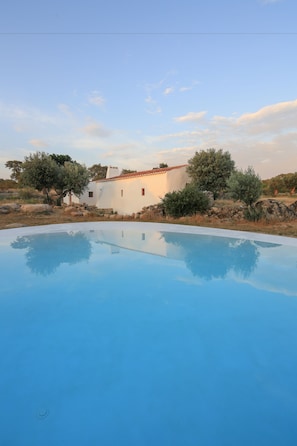 Outdoor pool, pool loungers