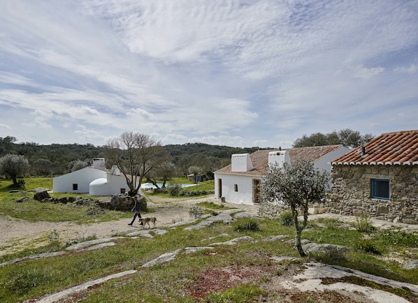 4 bedrooms, premium bedding, soundproofing, cots/infant beds