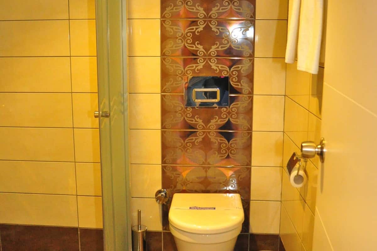 shower, free toiletries, hair dryer, slippers