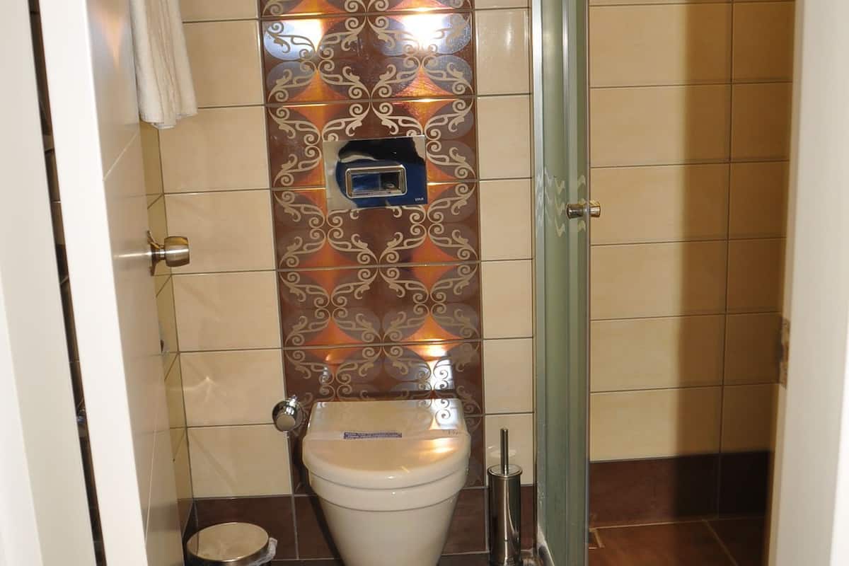 shower, free toiletries, hair dryer, slippers