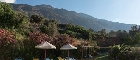 A pool area with lounge chairs and umbrellas, surrounded by lush greenery and a mountain backdrop.