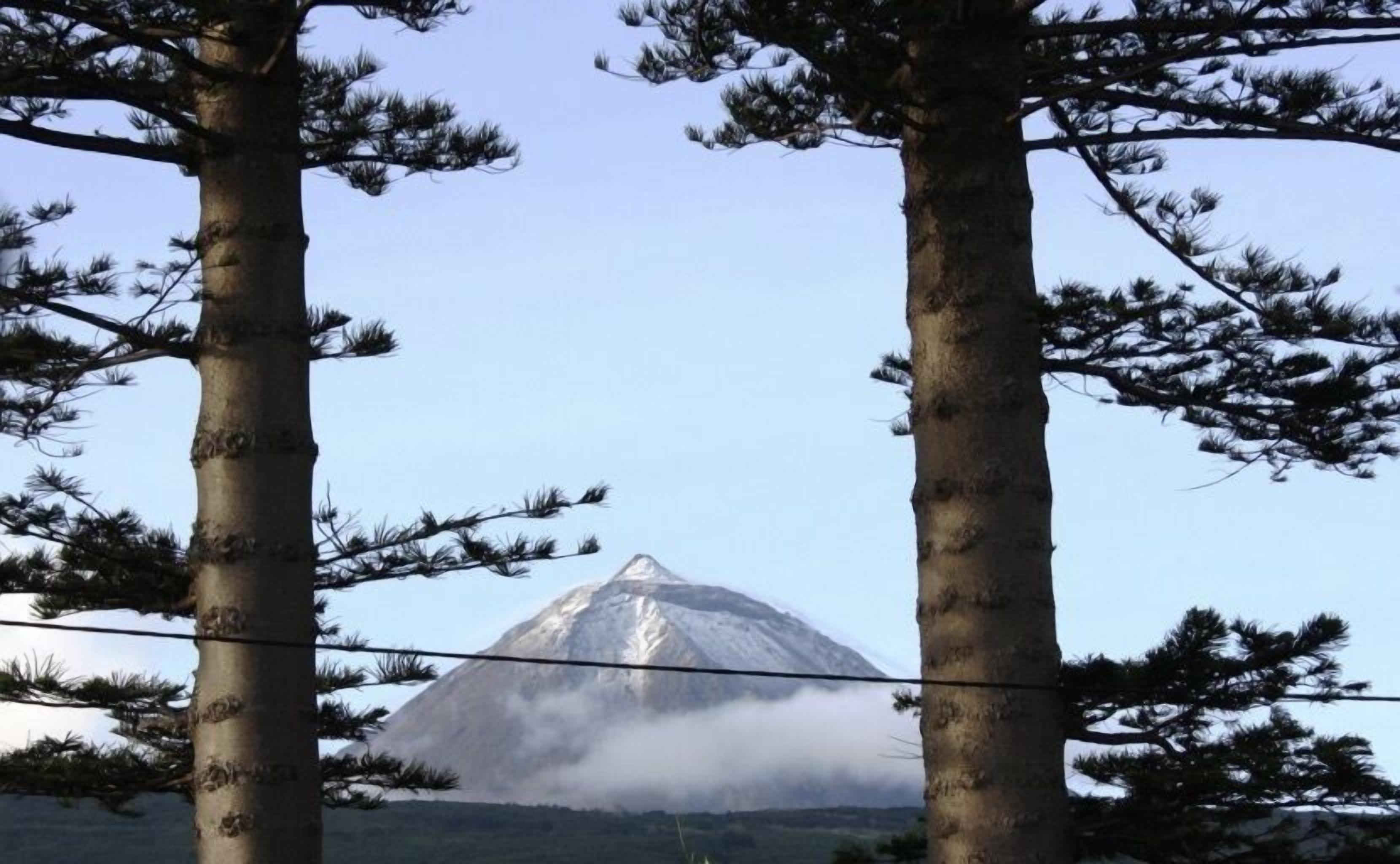 A mountain with a snow-capped peak, surrounded by trees.